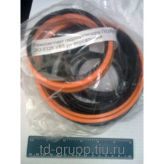 Ремкомплект гидроцилиндра ЭО-5126 160.100