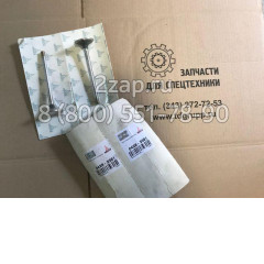 04283381 Выпускной клапан двигателя Deutz 