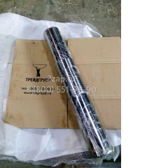 DFX10-A1106580 Боек (Piston) Delta