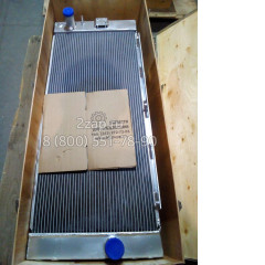 11Q6-46631, 11Q6-46632, 11Q6-46633, 11Q6-46634, 11Q6-46635 Радиатор водяной (Radiator assy) Hyundai