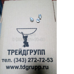 Тавотница прямая S651-810008 Hyundai