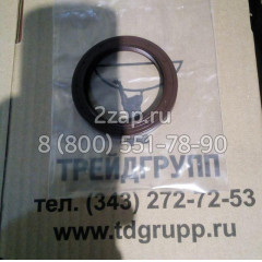 Манжетное уплотнение вала  6194307M1 Terex