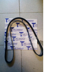 3289930 Ремень привода водяного насоса (Belt-V Ribbed) Cummins 
