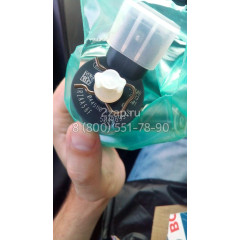 0445110418 Форсунка дизельная (Injector) Bosch