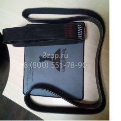 Ремень 6310056 (12РК1835) поликлиновой Iveco