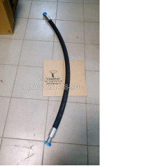 P680-168326 Рукав высокого давления (Hose Assy-Flg 0x0) Hyundai