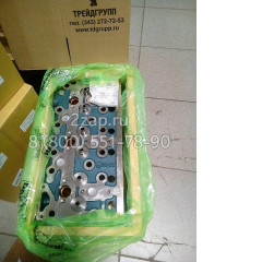 65.03101-6605 Головка блока цилиндров в сборе (Cylinder Head Ass'y) Doosan