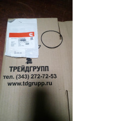 3926048 Кольцо уплотнительное Cummins на складе 