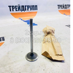 04255254 Клапан впускной Deutz