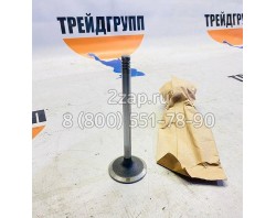 04255254 Клапан впускной Deutz