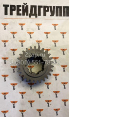 ТО-18А.02.04.251 Шестерня на первичный вал Амкодор