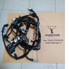 4939039 Жгут проводов ЭБУ (Harness-ECM Wiring) Cummins