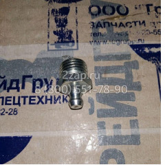 DF03C-0050 Пресс-масленка (Grease Nipple) Delta