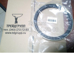 ZGAQ-00100 Сальник (Ring-Cassette) Hyundai