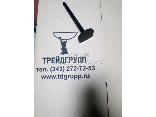 3142H071 Клапан впускной (Valve Inlet) Cummins