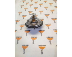 300738-00017 Термостат (Thermostat) Doosan