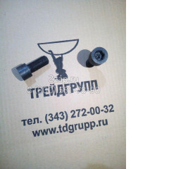 DF20C-0100 Болт крышки аккумулятора (Hex. Socket Bolt) Delta