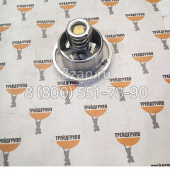  04911831 Термостат Deutz