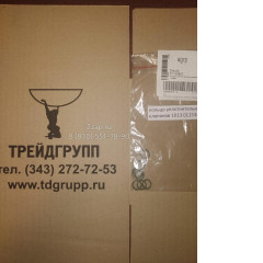 01153857 Уплотнительное кольцо клапана