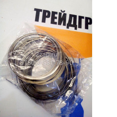401004-00229 Поршневые кольца (Piston Ring) Doosan