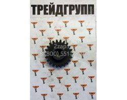 ТО-28А.02.04.006 Шестерня (Z=57) РОМ Амкодор