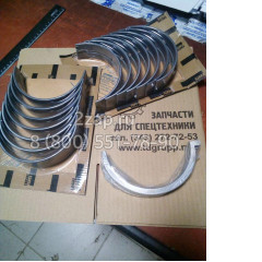 3800298 Вкладыш коренной, стандартный (main bearing set-std) Cummins