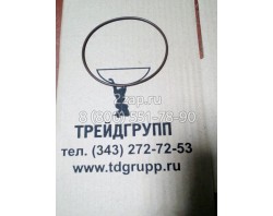 Уплотнительное кольцо 3924605 ТНВД Cummins