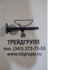 4900337 Впускной клапан (Inlet Valve) Cummins