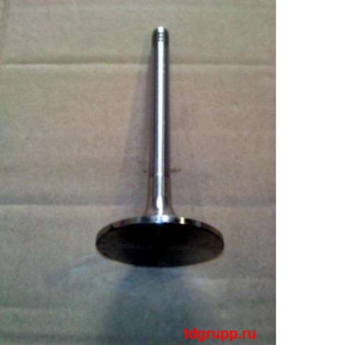 Клапан выпускной 12159608 Weichai-Deutz TD226B, Weichai WP6G