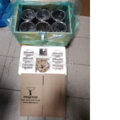 Поршневая группа Yuchai YC6B125 (860112225/860118386)