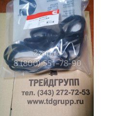 4899226 Набивка Cummins