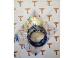 401107-01023 Ремкомплект натяжителя гусеницы (Seal Kit;Track Spring) Doosan